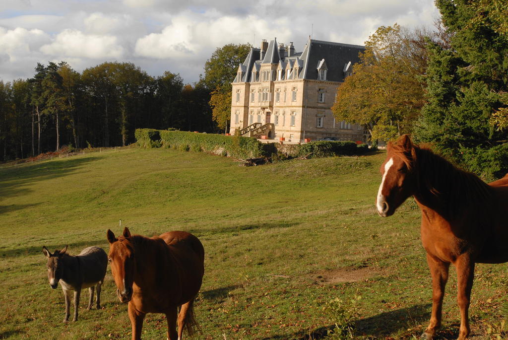 Hotel Chateau Des Faugs Boffres Exterior foto